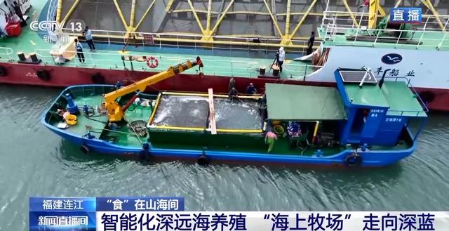 大黄鱼“搬家”深远海 身价翻倍不愁卖!