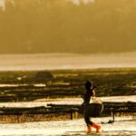 又贵又抢手的头水紫菜上市，今年你吃得起吗