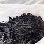 霞浦头水紫菜上市！全中国最最最好吃的紫菜究竟多厉害？