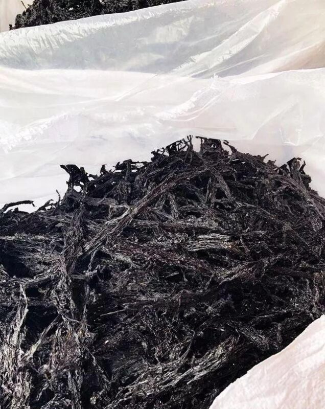 霞浦头水紫菜上市！全中国最最最好吃的紫菜究竟多厉害？