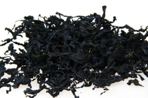 紫菜是“塑料”做的吗？实验告诉你，真相原来如此，赶快看一下
