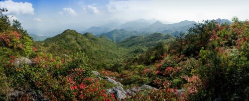 漳平市赤水镇香寮村