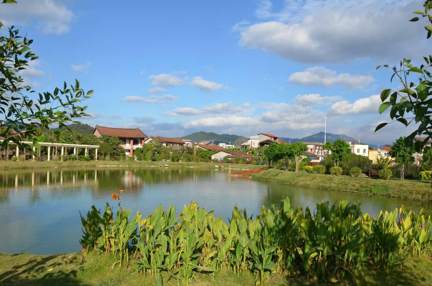 莆田市荔城区西天尾镇后黄社区
