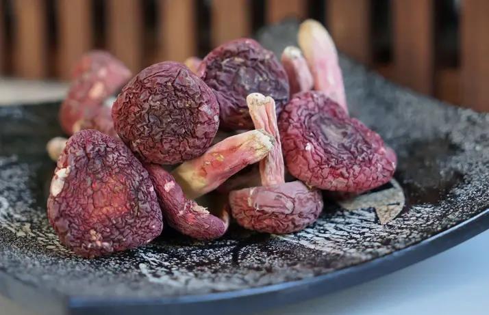 福建十大土特产排名推荐，送礼倍有面！