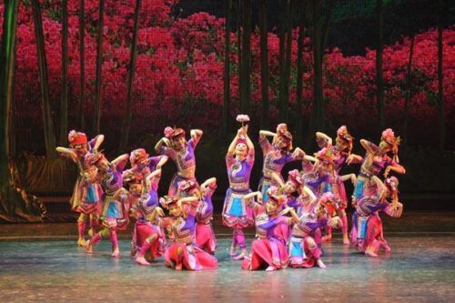 福建省少数民族除汉族外原来排第一多人的是这个族