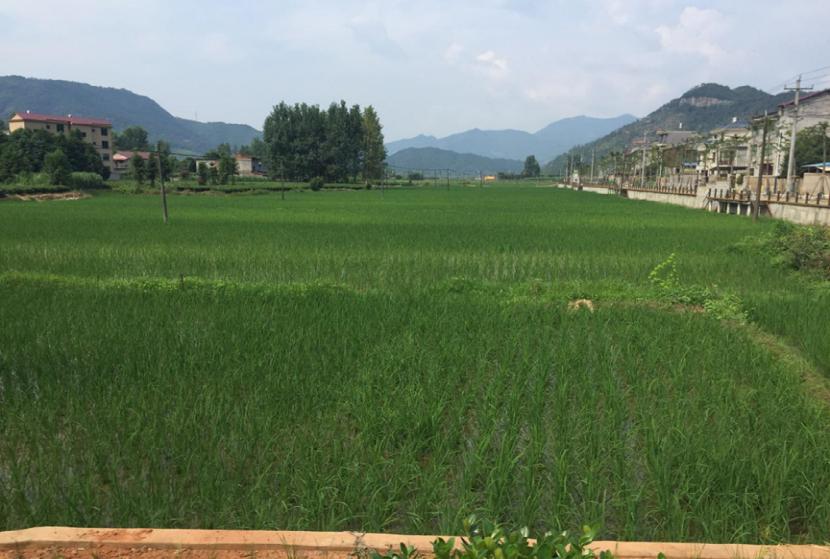 南平市松溪县郑墩镇梅口村:八闽生活的缩影