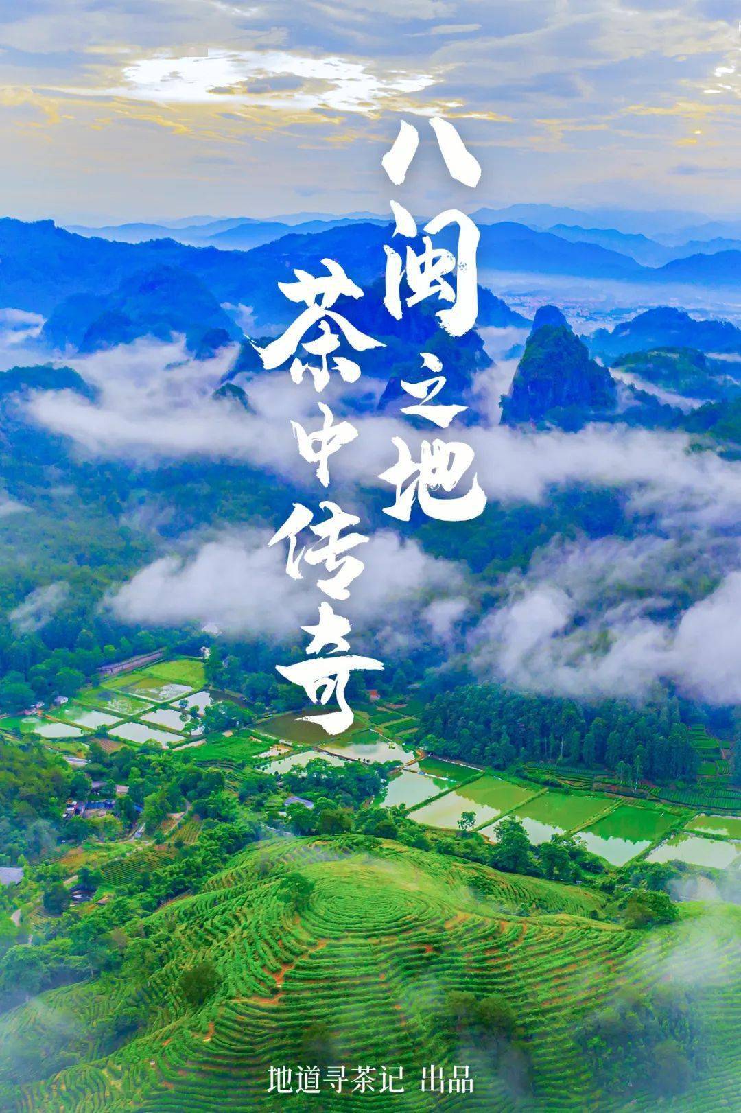 中国茶叶第一大省,凭什么是它?