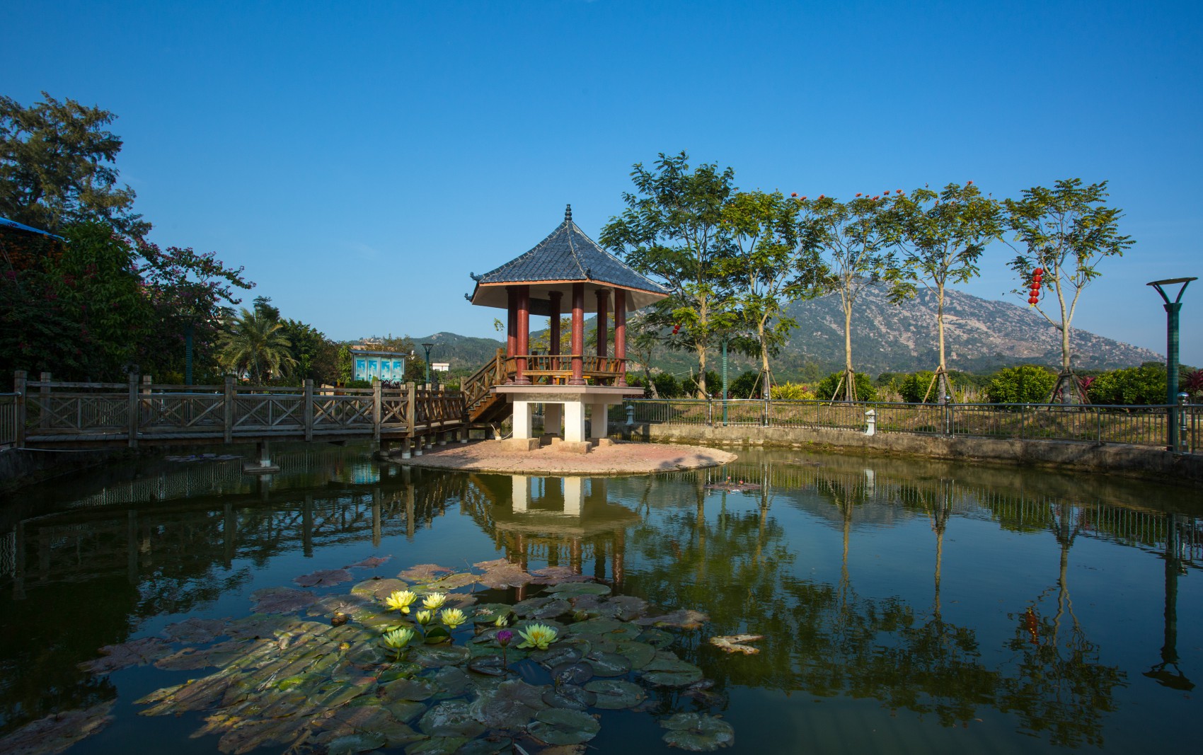 漳州市漳浦县绥安镇大埔村