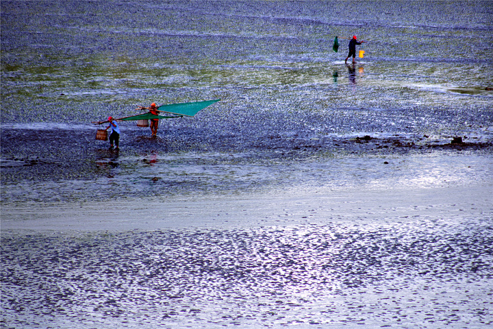 霞浦小皓村：探索霞浦的自然之美与渔业文化