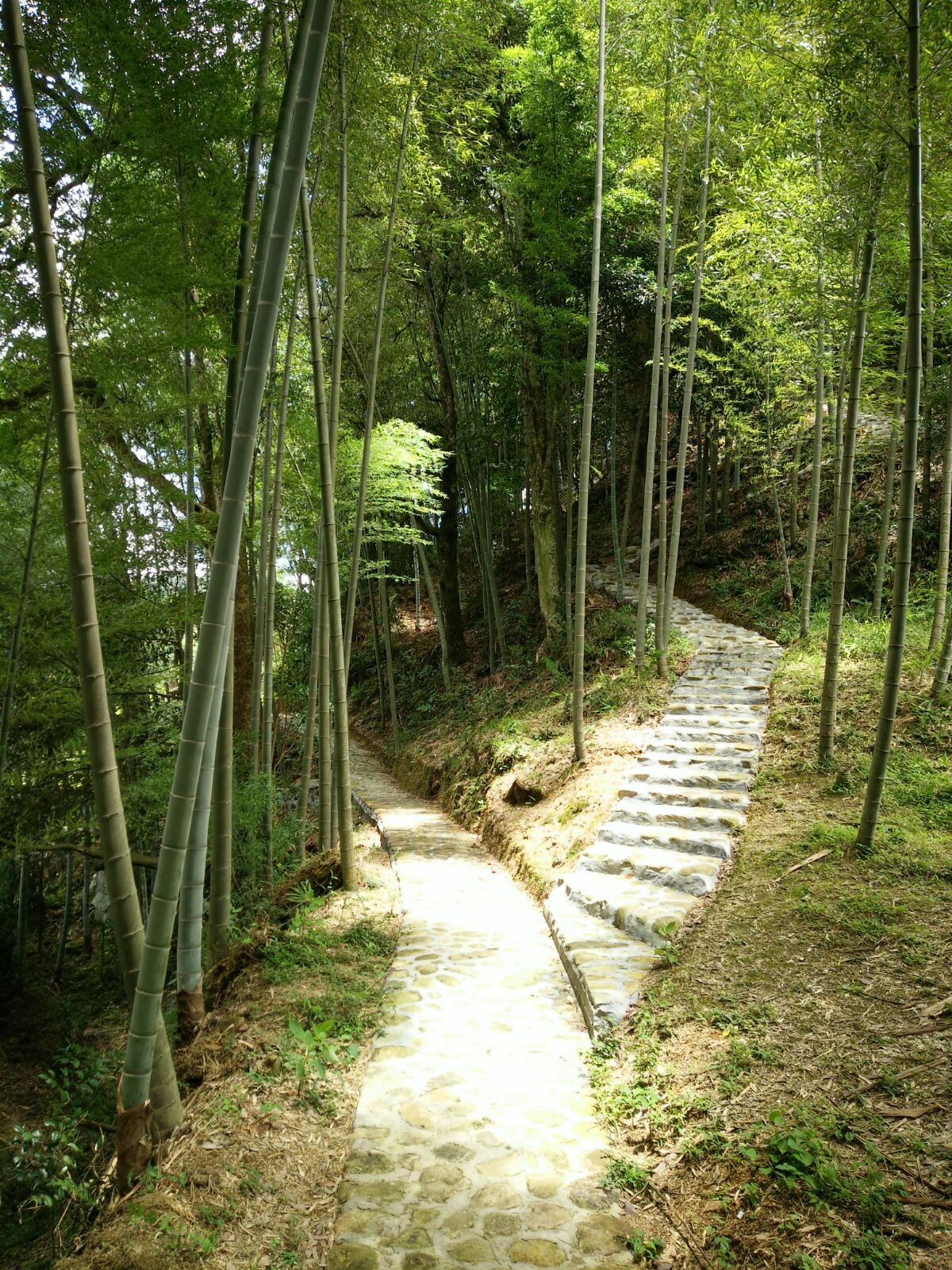龙岩市连城县冯地村