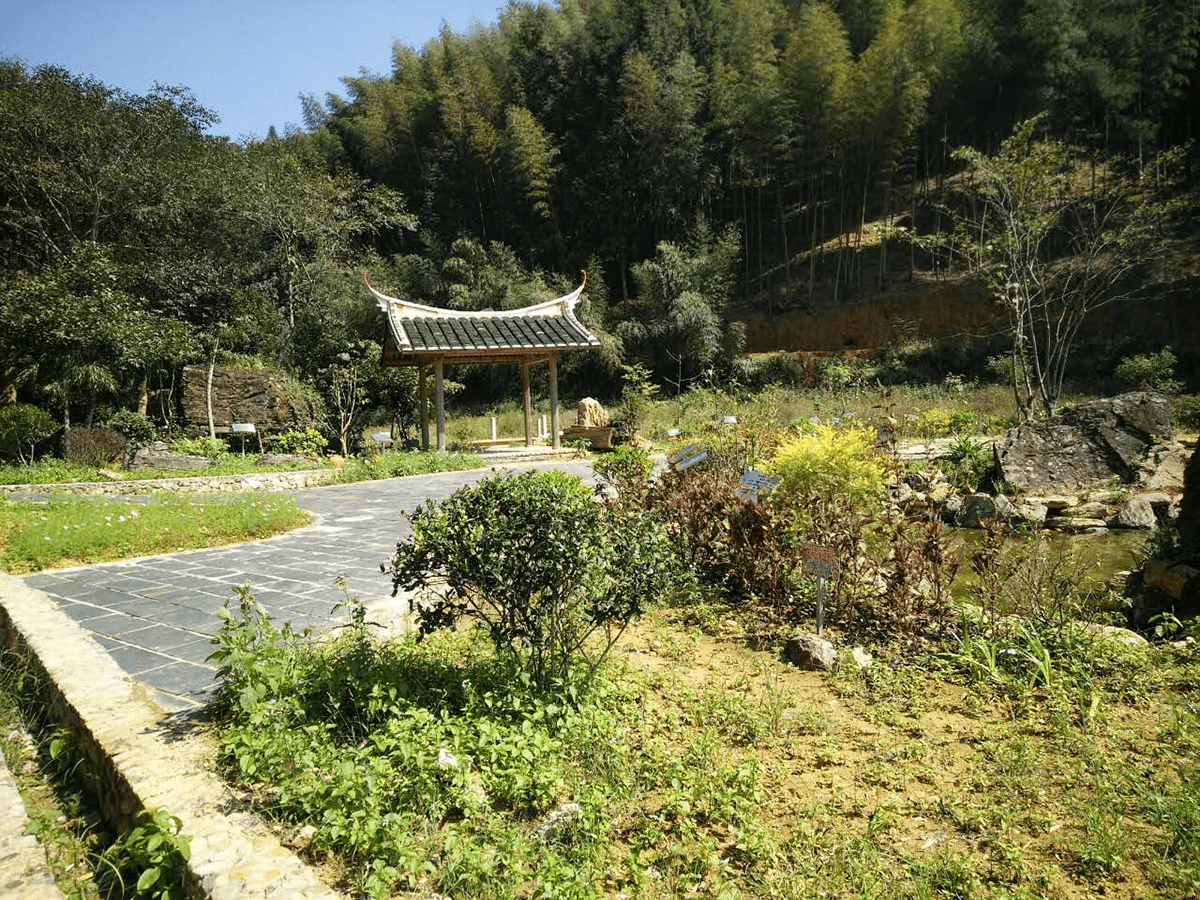 三明市大田县桃源镇东坂村
