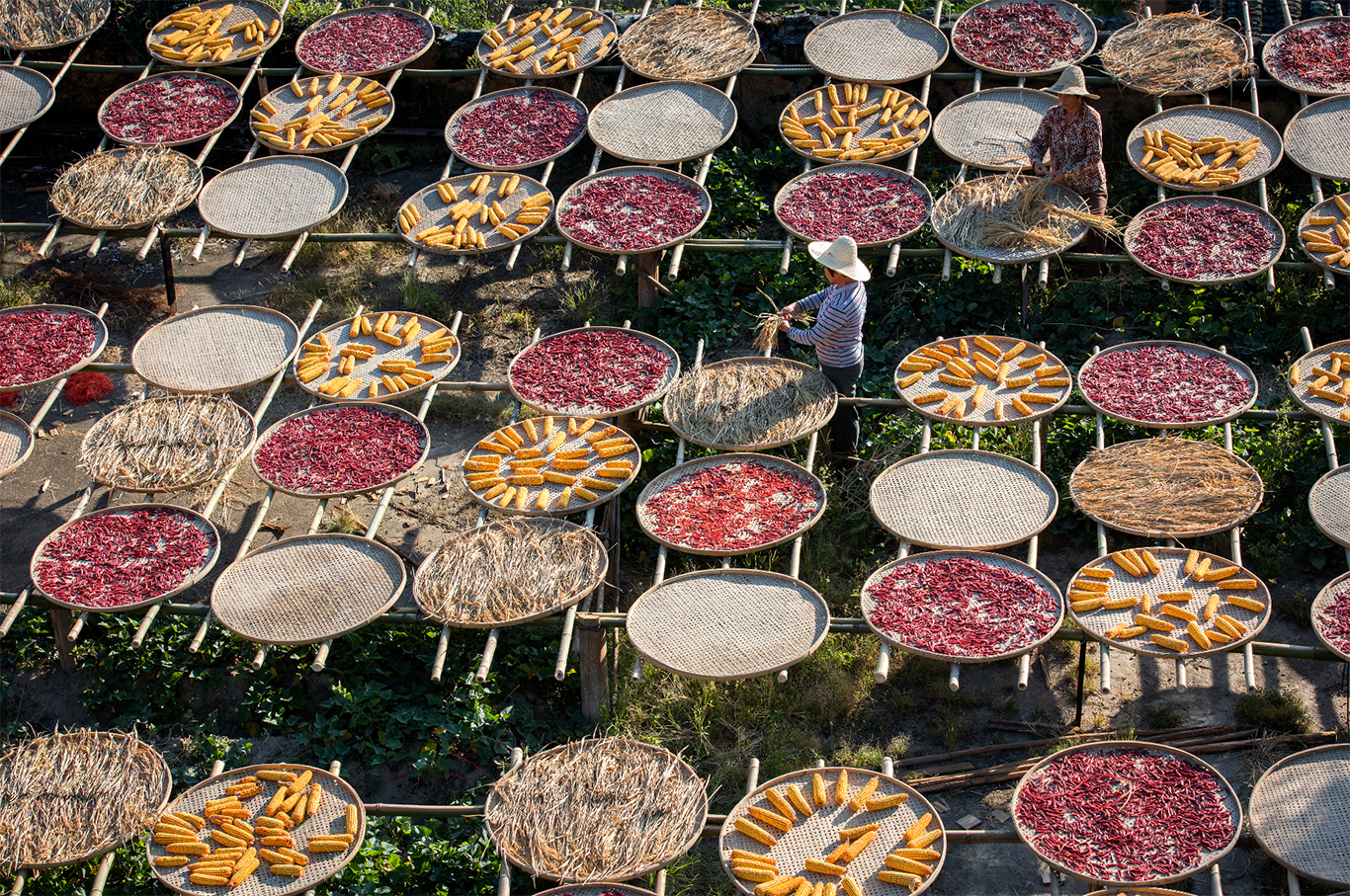 三明市尤溪县洋中镇桂峰村
