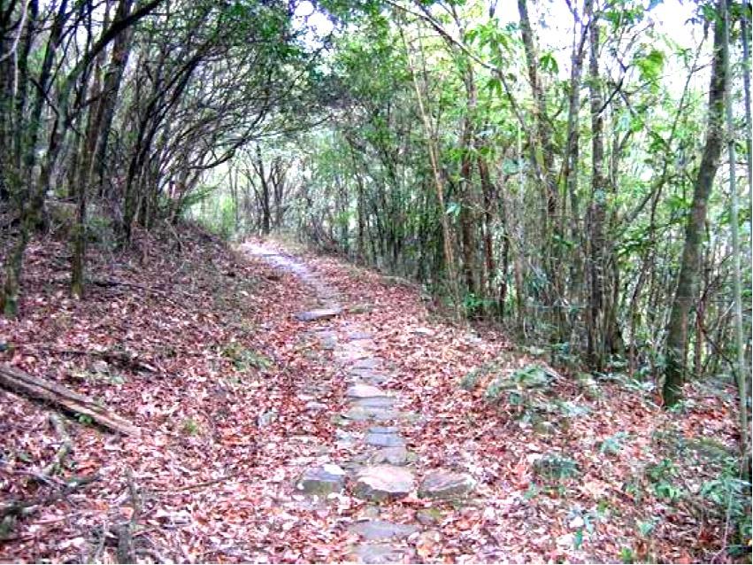 漳平市赤水镇香寮村