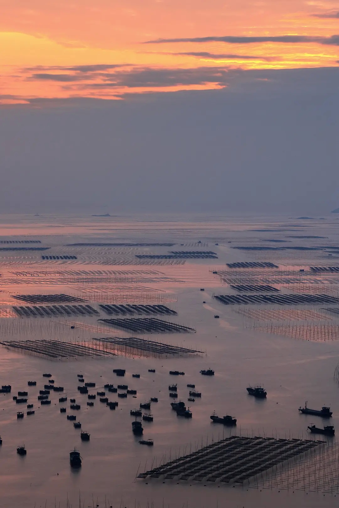 探索霞浦:滩涂之美与变化的县城
