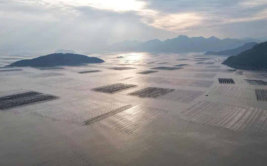 探索霞浦:滩涂之美与变化的县城