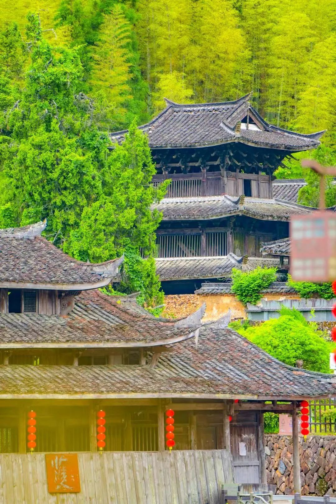 她是中国唯一的畲族自治县，坐拥隐藏款奇幻之旅，美得天赋异禀！