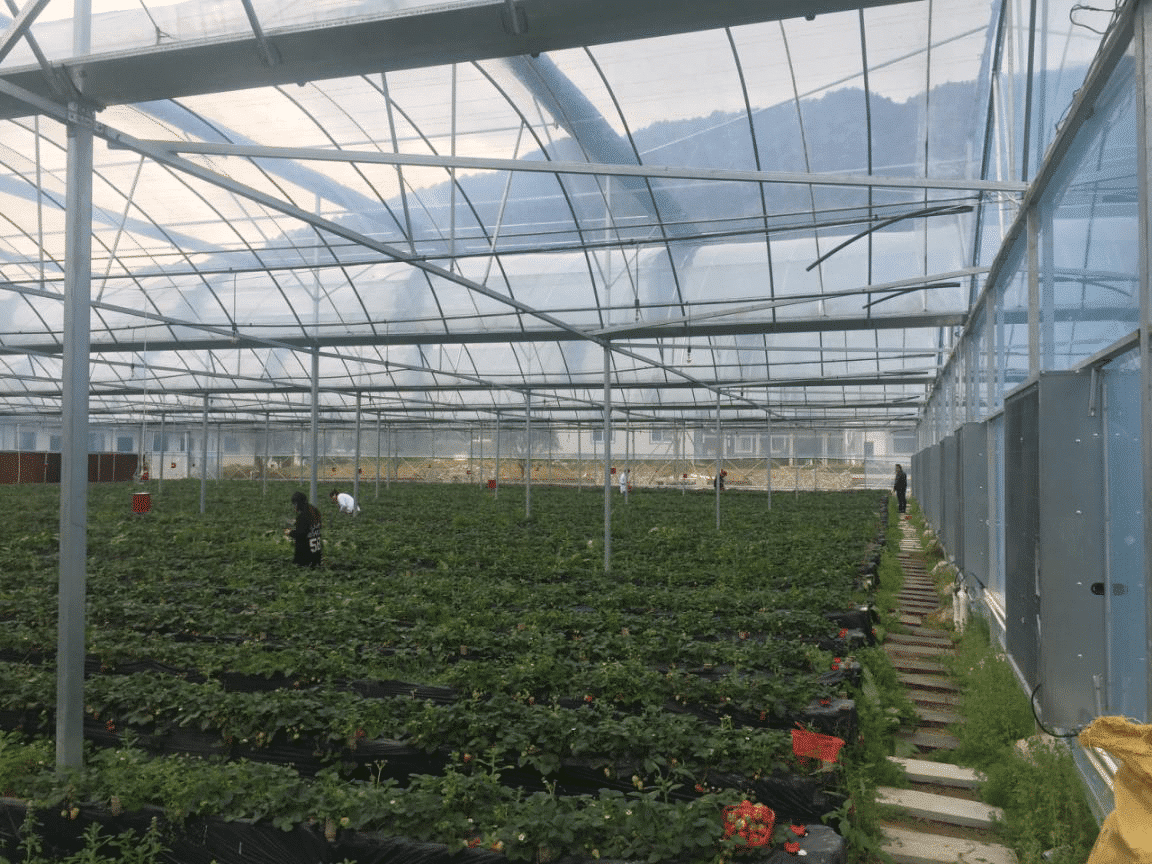 宁德福鼎市赤溪村