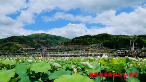 宁德市古田县城东街道桃溪村