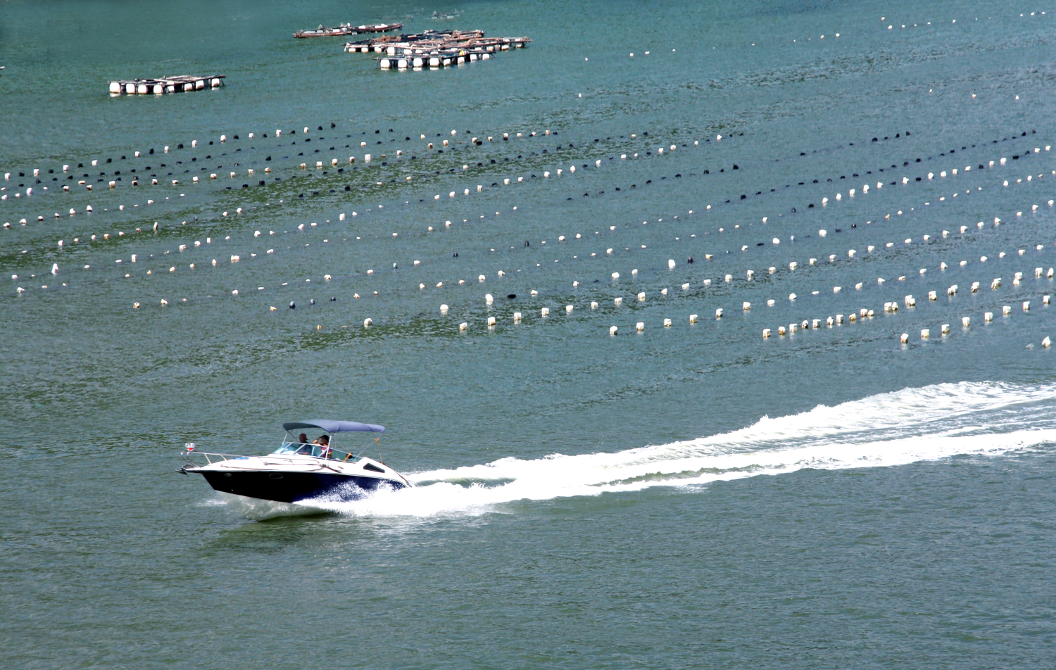 宁德福鼎市沙埕镇小白鹭村