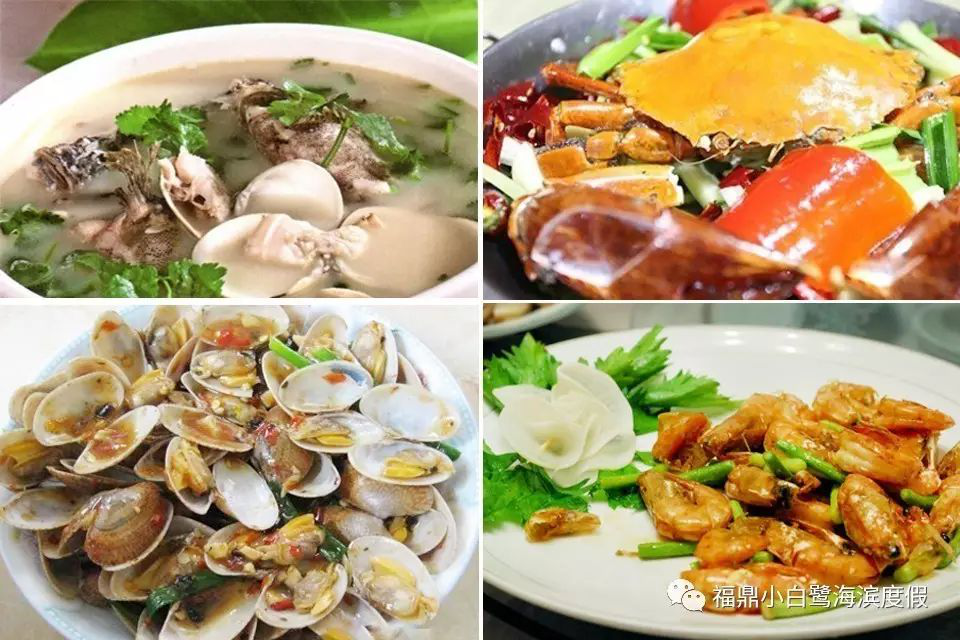 宁德福鼎市沙埕镇小白鹭村