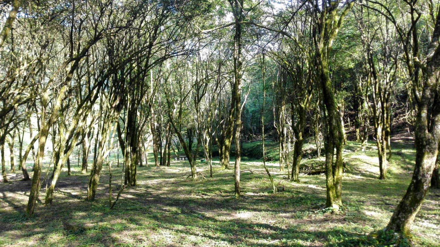 漳平市赤水镇香寮村