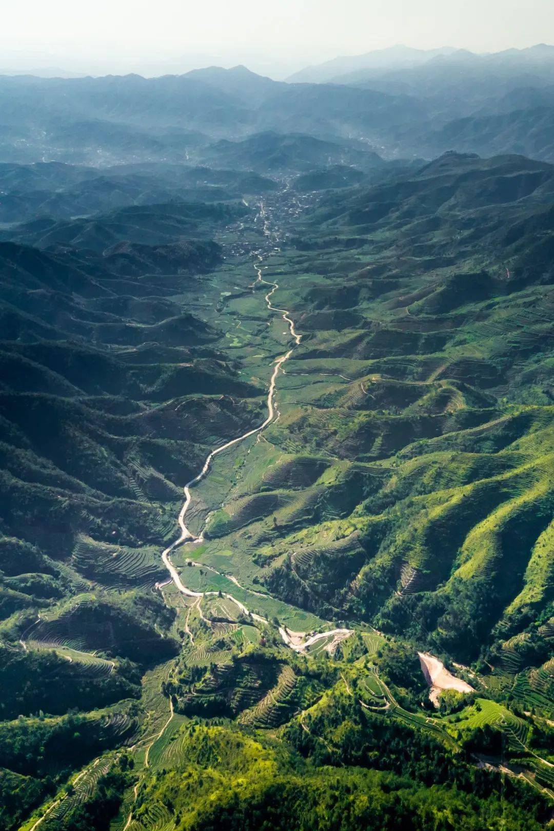 中国茶叶第一大省,凭什么是它?