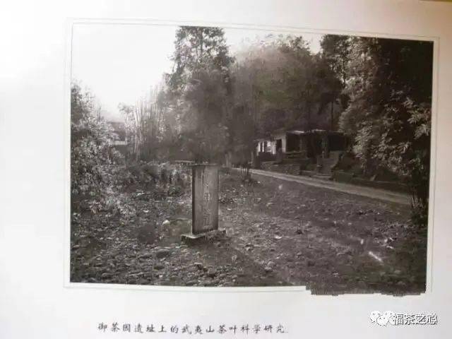 值得珍藏的武夷山(崇安县)老照片