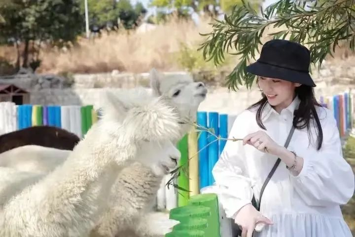 “玩在诏安”第2式:穿越闽粤,一城狂欢!