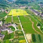 福建省漳州市华安县仙都镇大地村：奏响乡风文明之歌