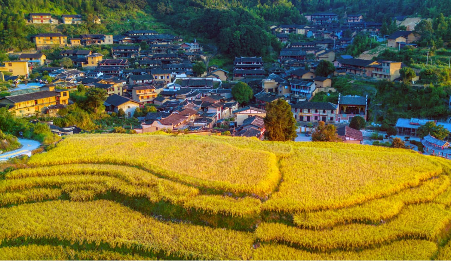 三明市尤溪县洋中镇桂峰村