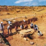 福建不可移动文物：历史的见证与文化的瑰宝