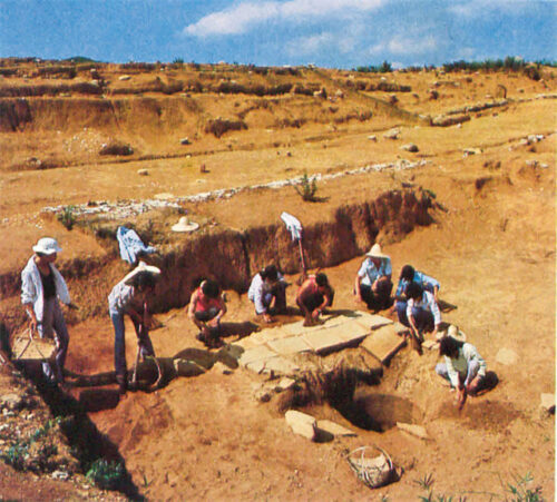 福建不可移动文物：历史的见证与文化的瑰宝