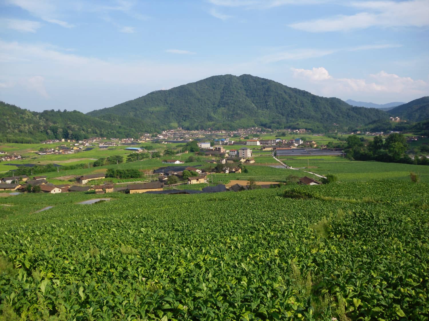 漳平市赤水镇香寮村
