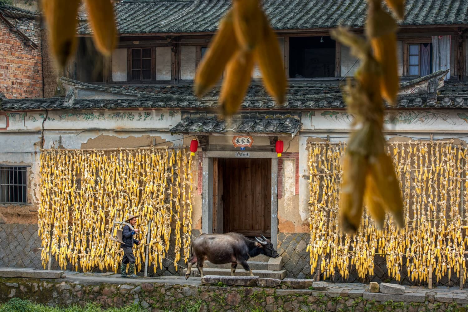 三明市尤溪县洋中镇桂峰村