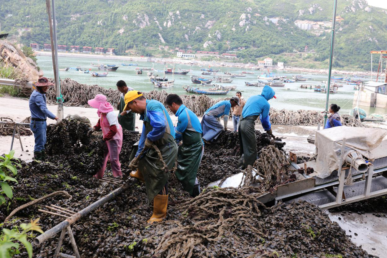 宁德福鼎市沙埕镇小白鹭村