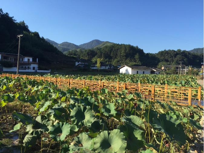 龙岩市新罗区万安镇竹贯村