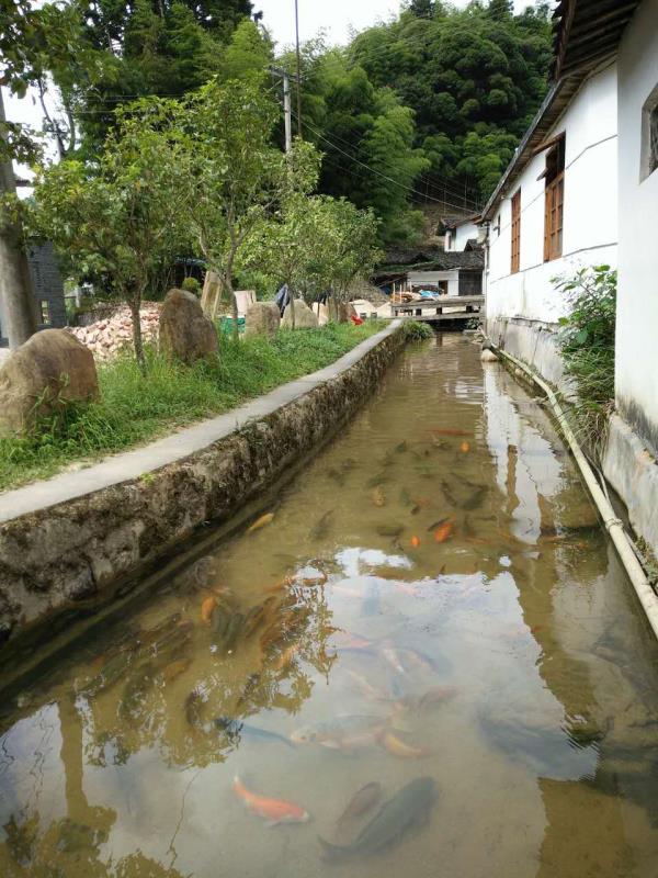 龙岩市连城县冯地村