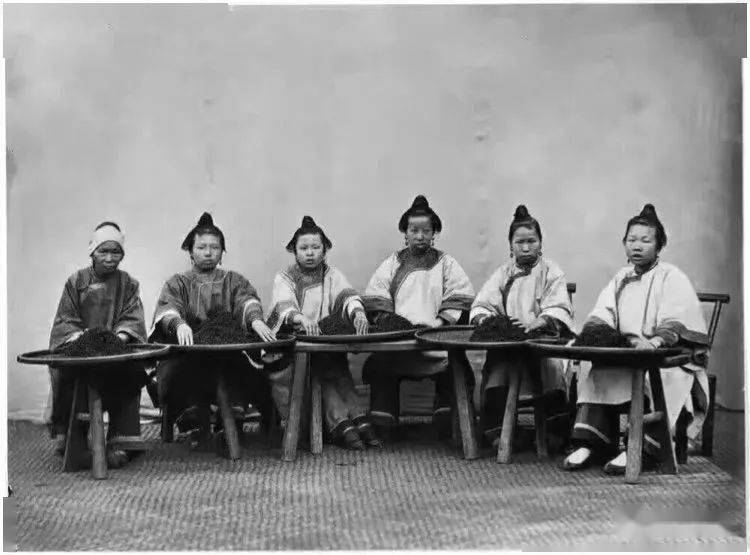 值得珍藏的武夷山（崇安县）老照片