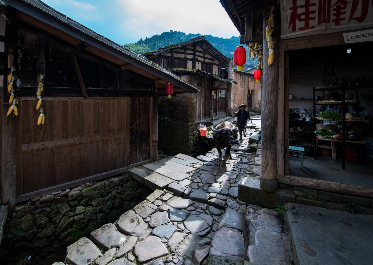 三明市尤溪县洋中镇桂峰村