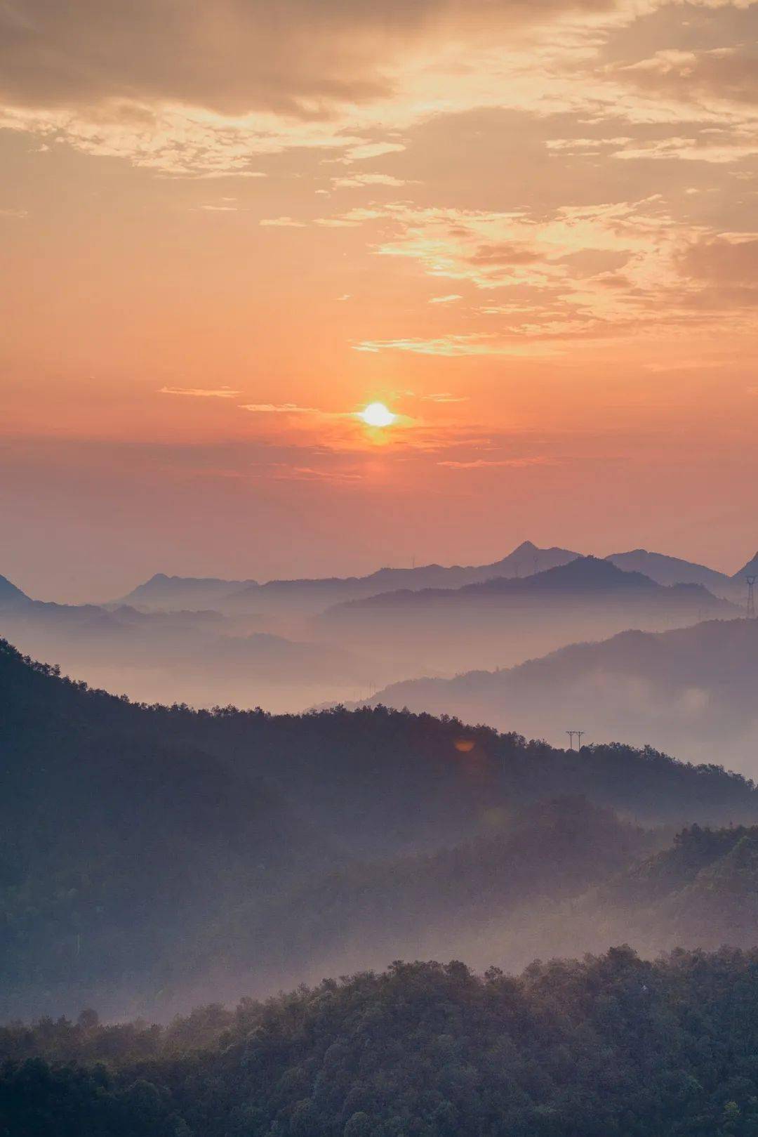 中国茶叶第一大省,凭什么是它?