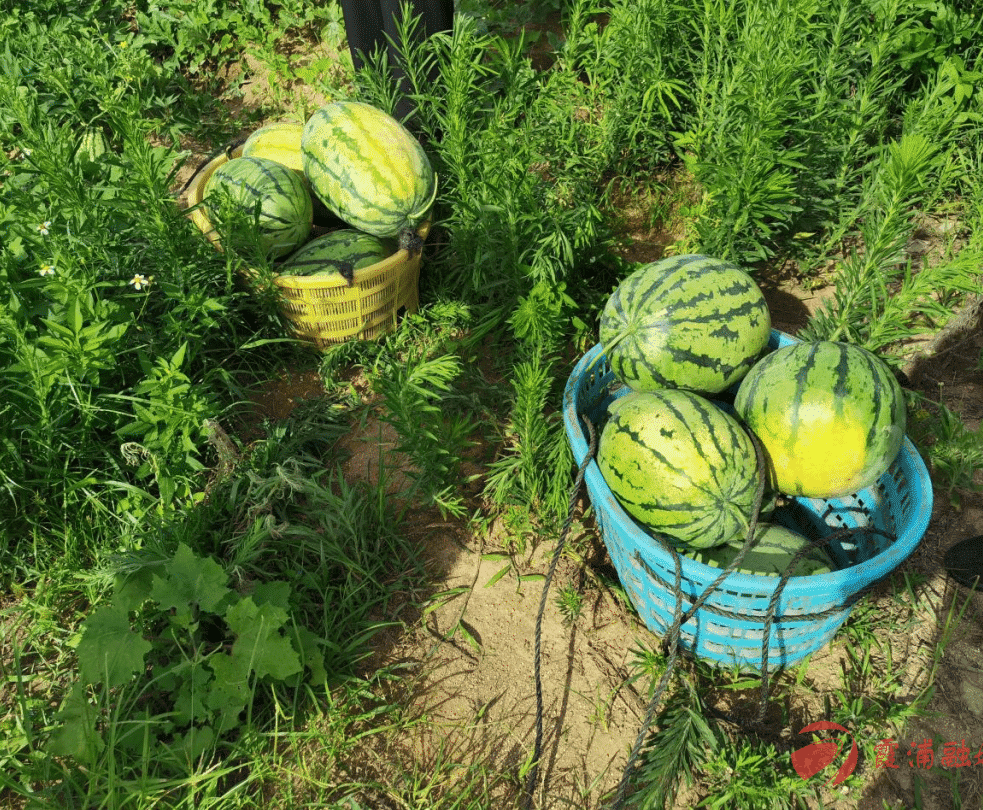 美食霞浦的大半江山