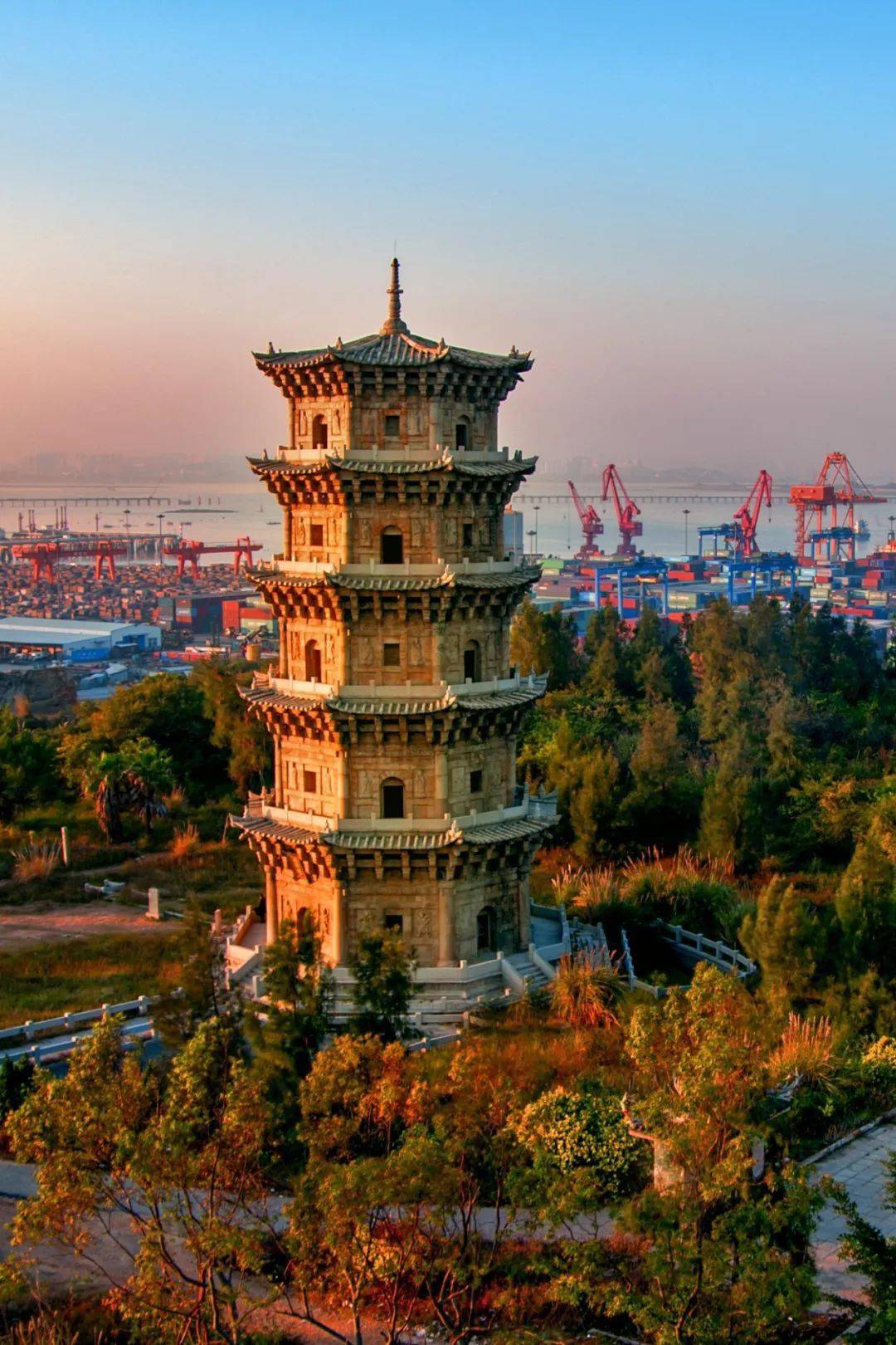 中国茶叶第一大省,凭什么是它?