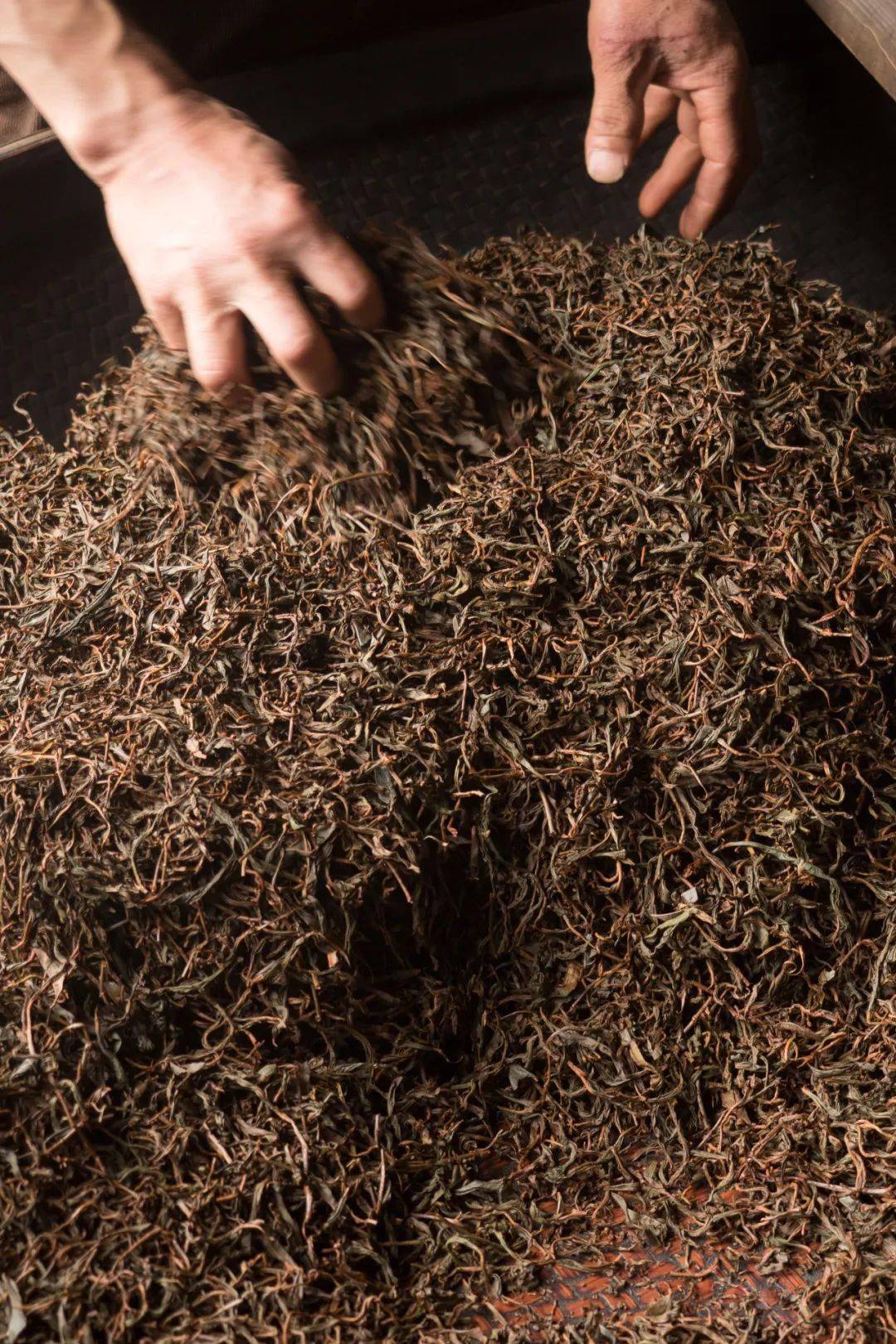 中国茶叶第一大省,凭什么是它?