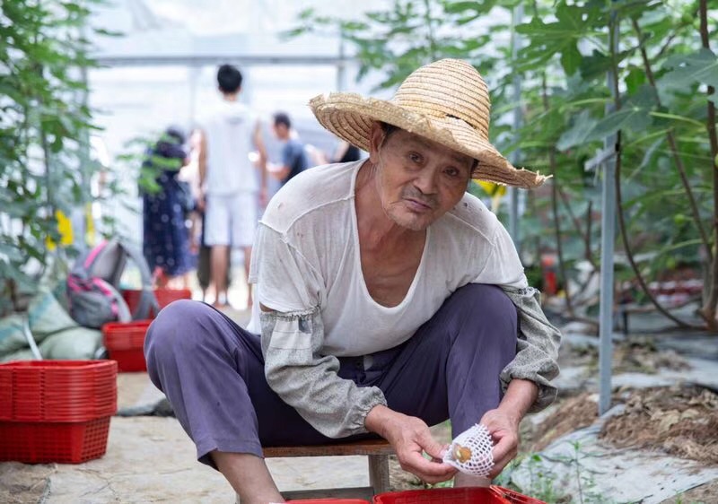 莆田市荔城区西天尾镇后黄社区