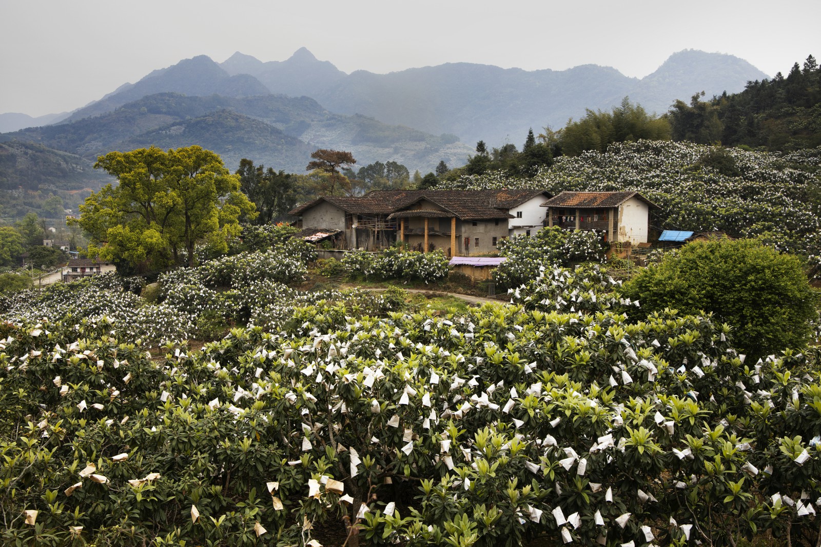 福清市一都镇东山村