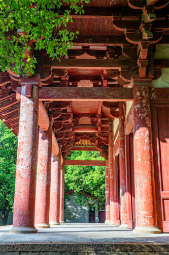 福建不可移动文物：历史的见证与文化的瑰宝