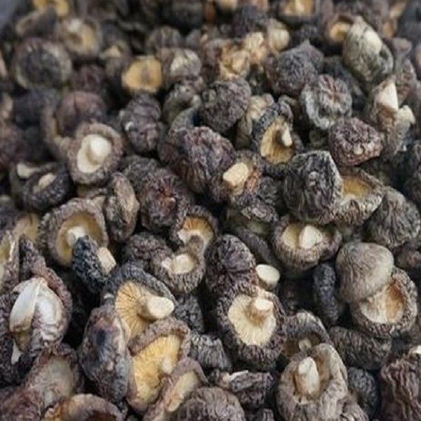 顺昌香菇