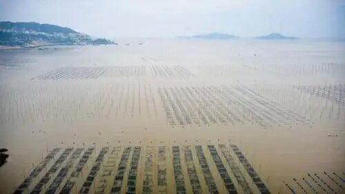 一个闽东说闽南话的海边胜地三沙，荣获中国“最美渔港”称号