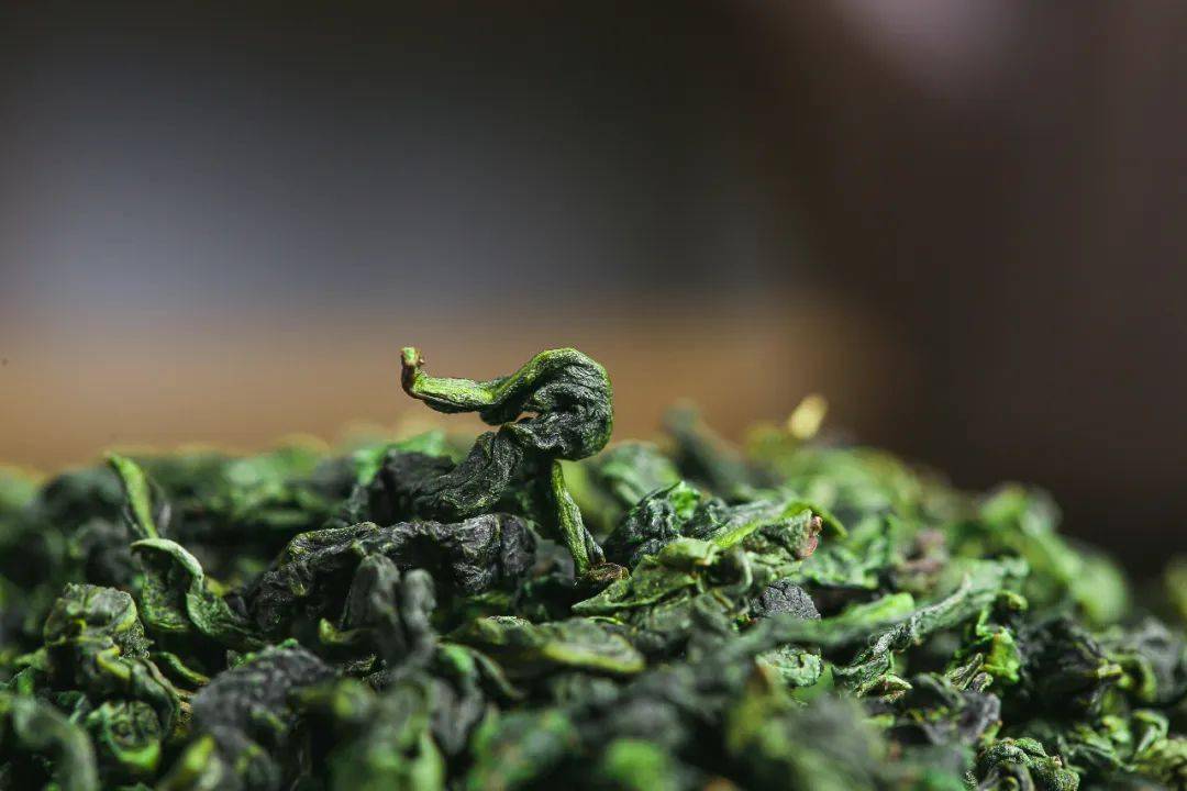 中国茶叶第一大省,凭什么是它?