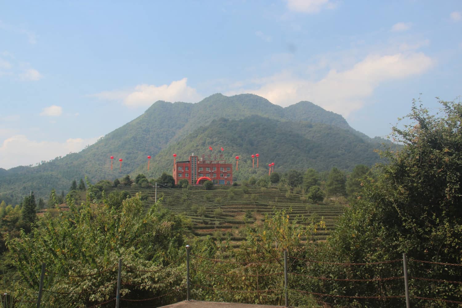 漳平市赤水镇香寮村